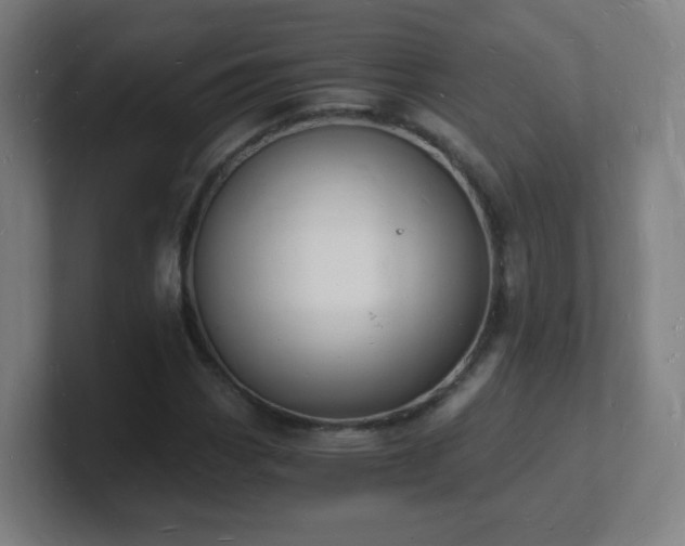 X0000101671113200807171330