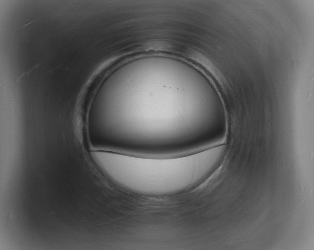 X0000101671115200807171330