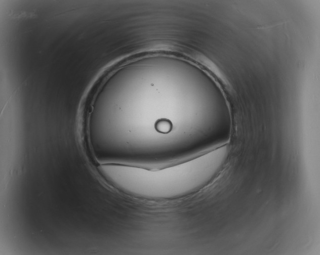 X0000101671116200807171330