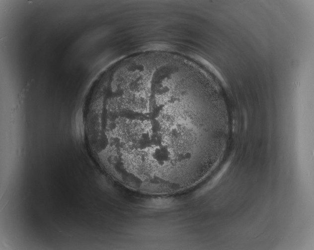 X0000101671117200807171330
