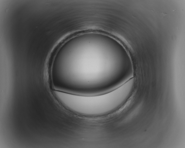 X0000101671118200807171330