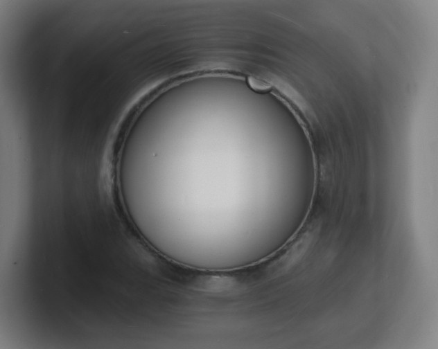 X0000101671119200807171330