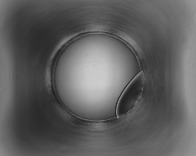 X0000101671120200807171330