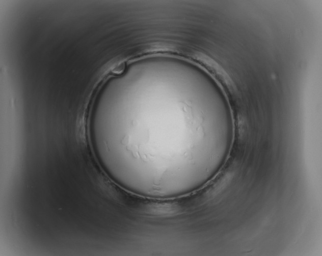X0000101671121200807171330