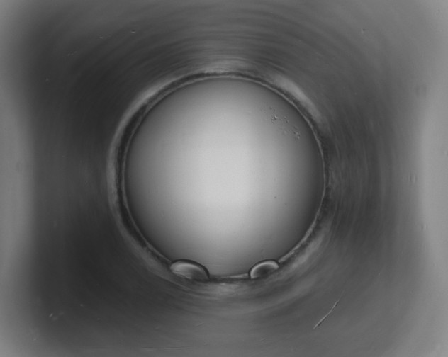 X0000101671122200807171330
