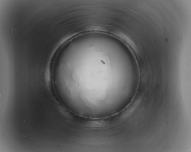 X0000101671125200807171330