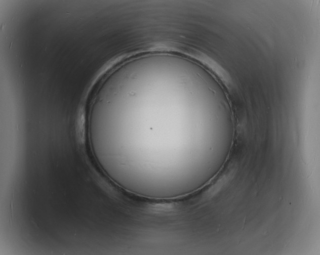 X0000101671126200807171330