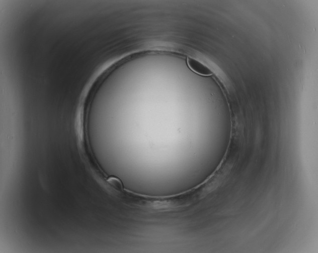 X0000101671128200807171330