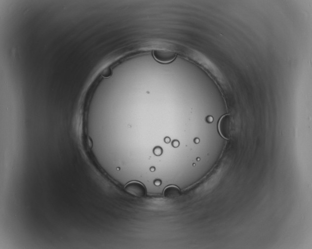 X0000101671130200807171330