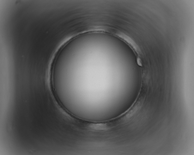X0000101671135200807171330