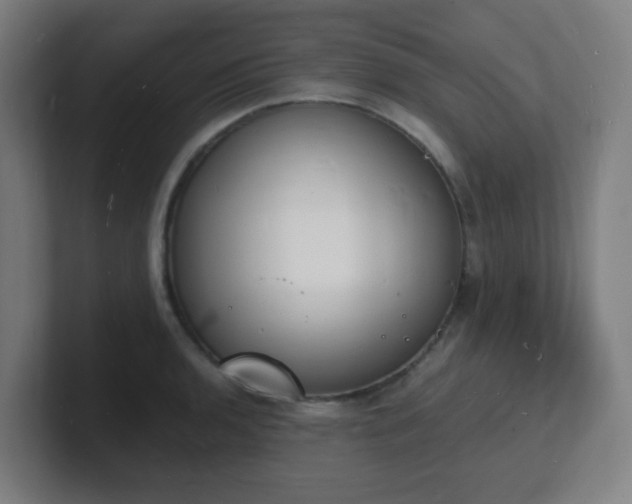 X0000101671136200807171330