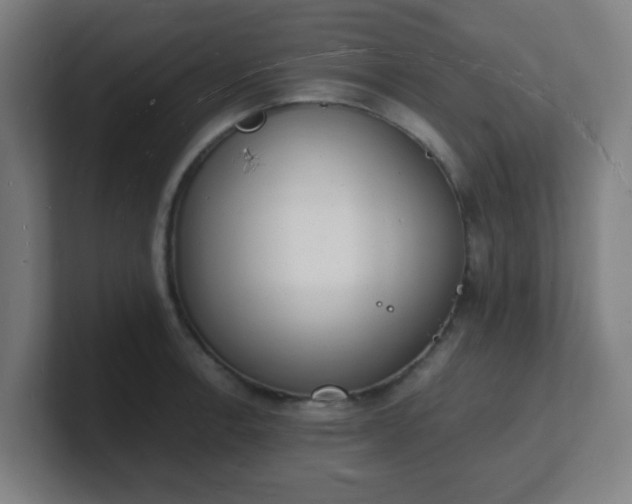 X0000101671138200807171330