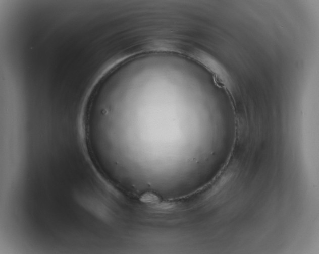 X0000101671141200807171330