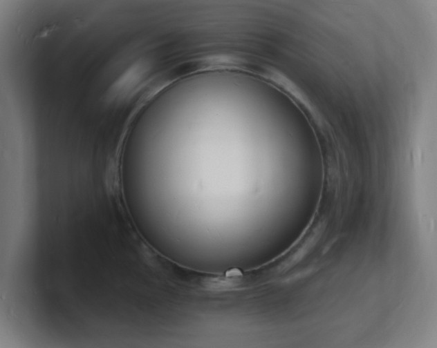 X0000101671145200807171330