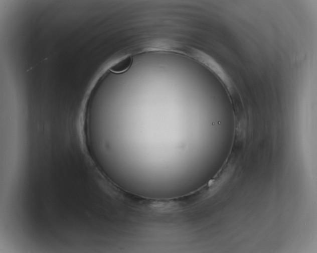 X0000101671146200807171330