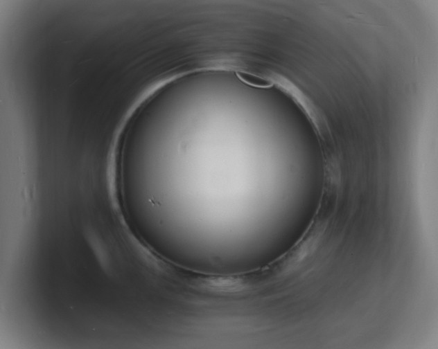 X0000101671147200807171330