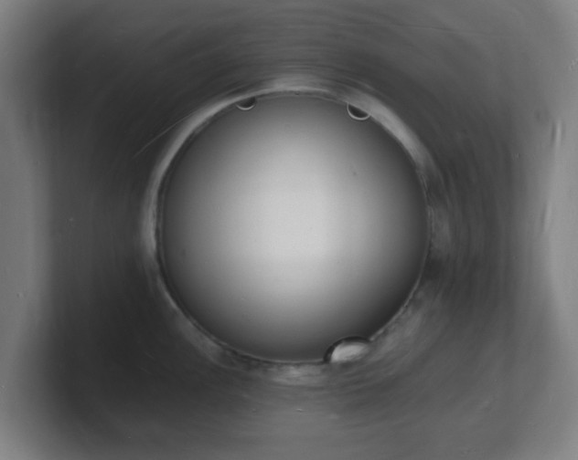 X0000101671148200807171330