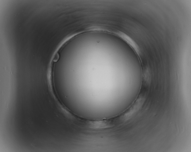 X0000101671149200807171330