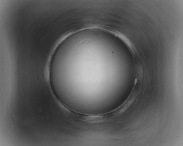 X0000101671151200807171330