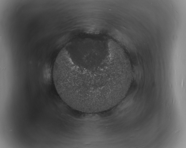 X0000101671154200807171330