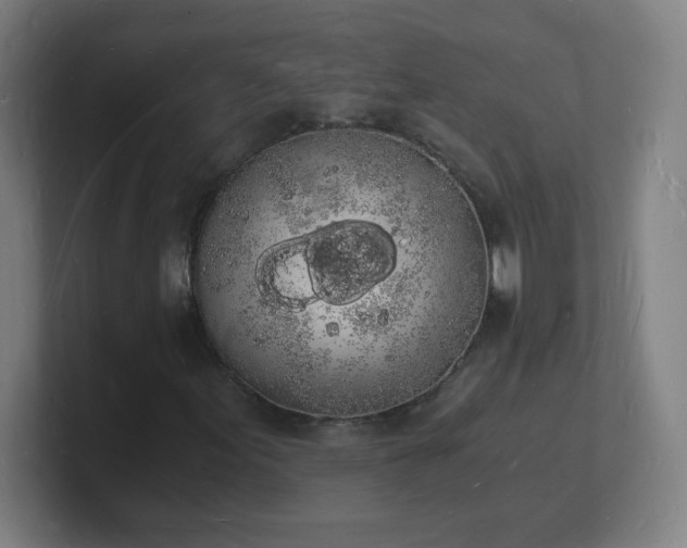 X0000101671155200807171330