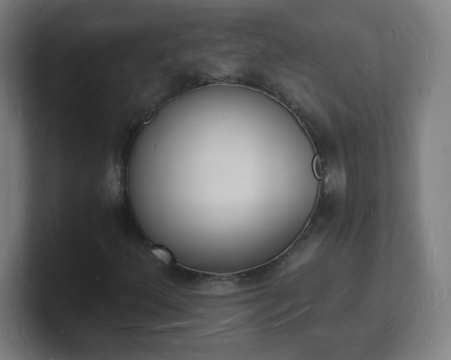 X0000101671156200807171330