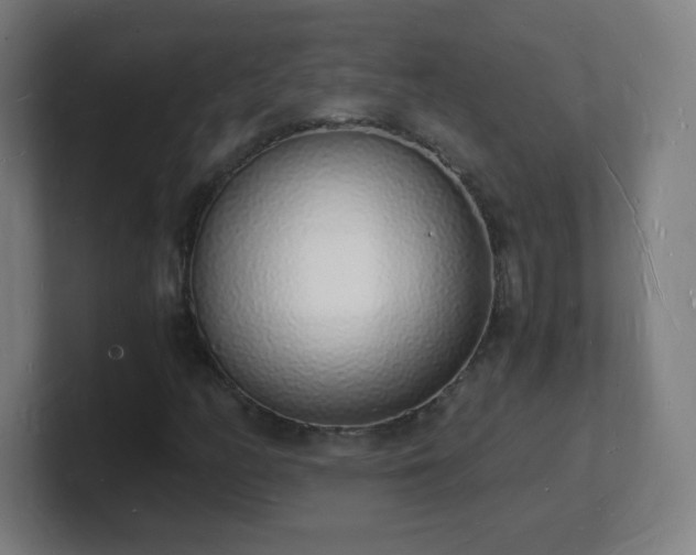 X0000101671158200807171330