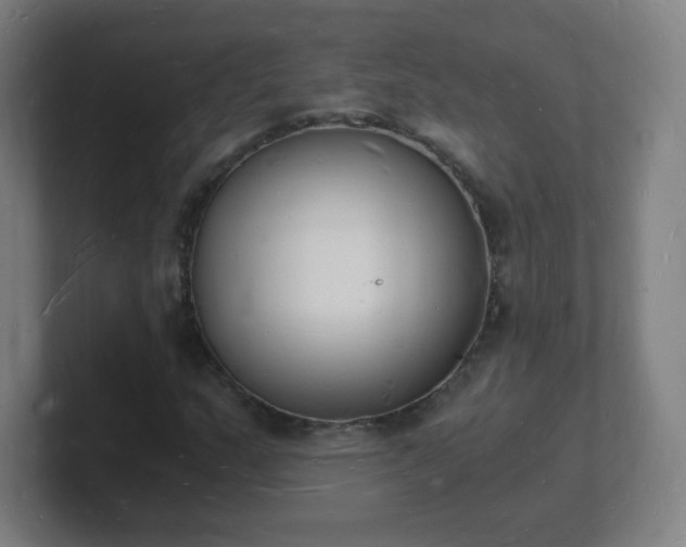 X0000101671159200807171330