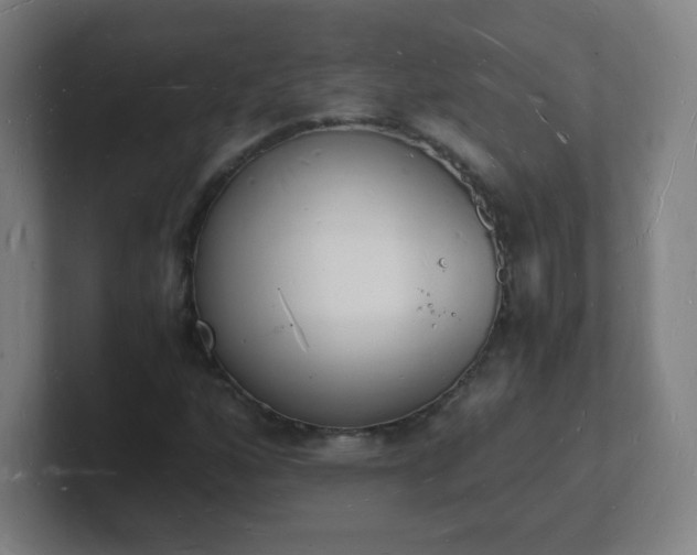 X0000101671160200807171330