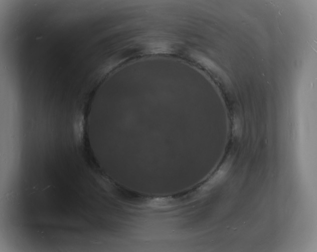 X0000101671161200807171329