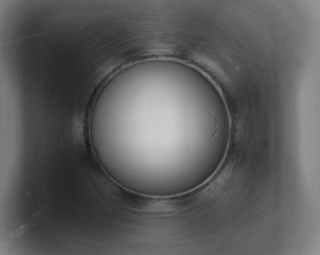 X0000101671162200807171329