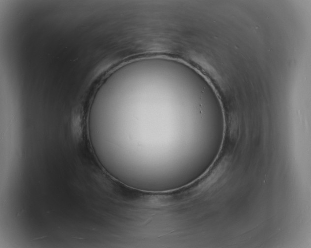 X0000101671163200807171329
