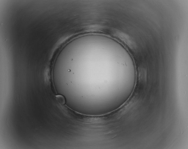X0000101671164200807171329