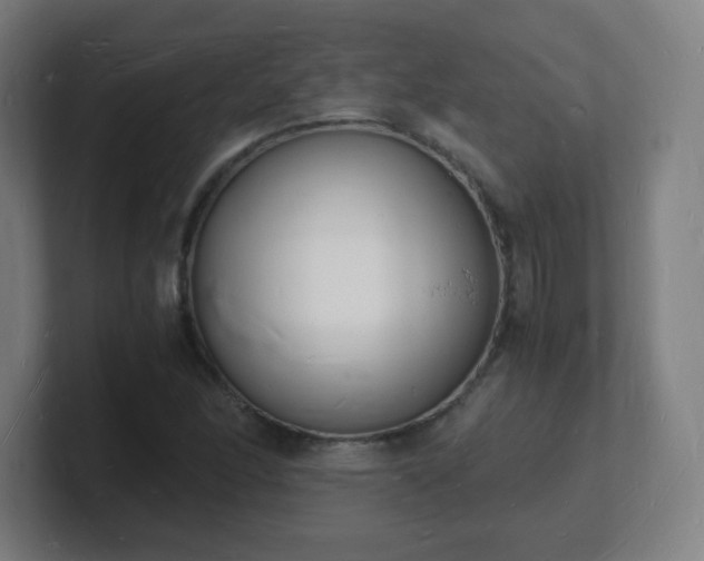 X0000101671166200807171329