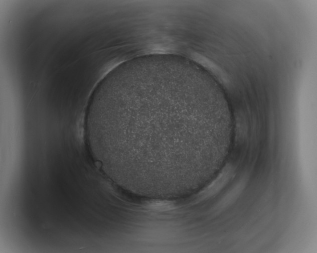 X0000101671170200807171329