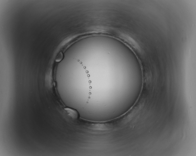 X0000101671172200807171329