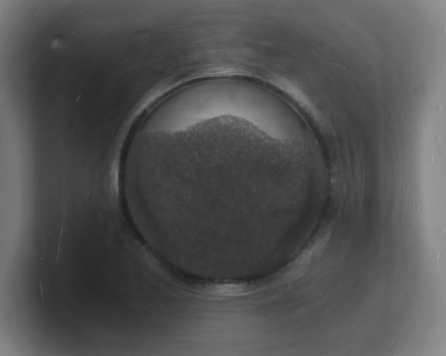 X0000101671173200807171329