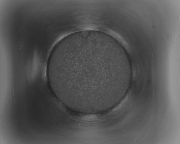 X0000101671174200807171329
