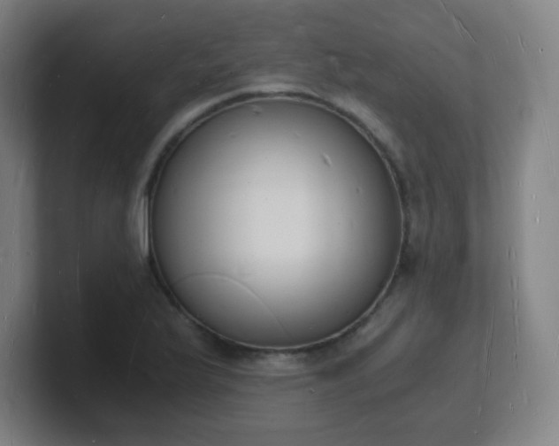 X0000101671175200807171329