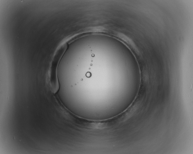 X0000101671176200807171329