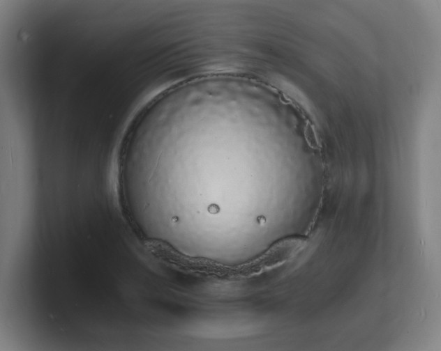 X0000101671179200807171329