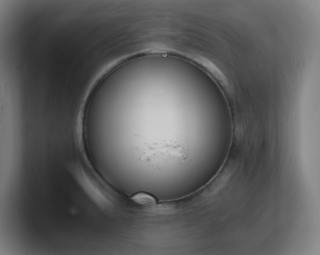 X0000101671183200807171329