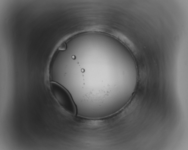 X0000101671184200807171329