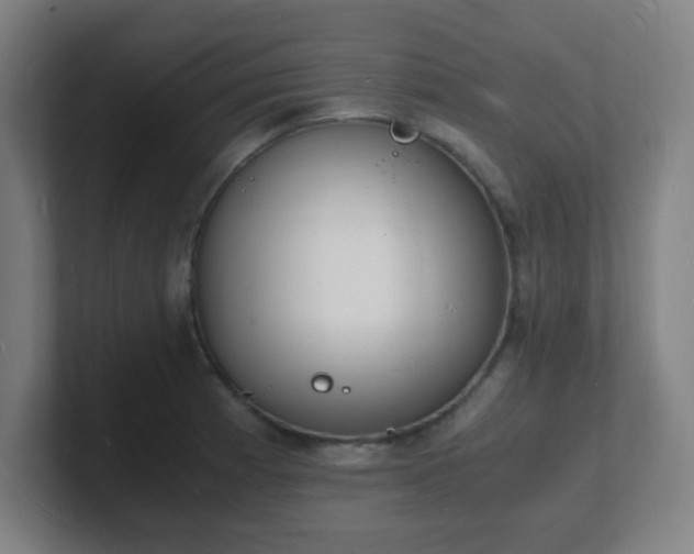 X0000101671185200807171329