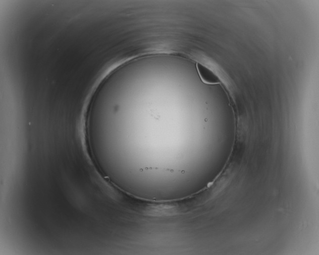 X0000101671187200807171329