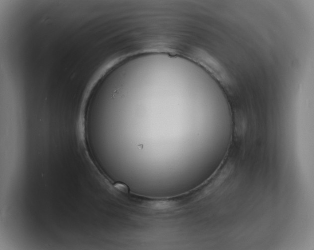 X0000101671188200807171329