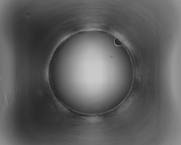 X0000101671189200807171329
