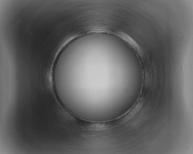 X0000101671190200807171329