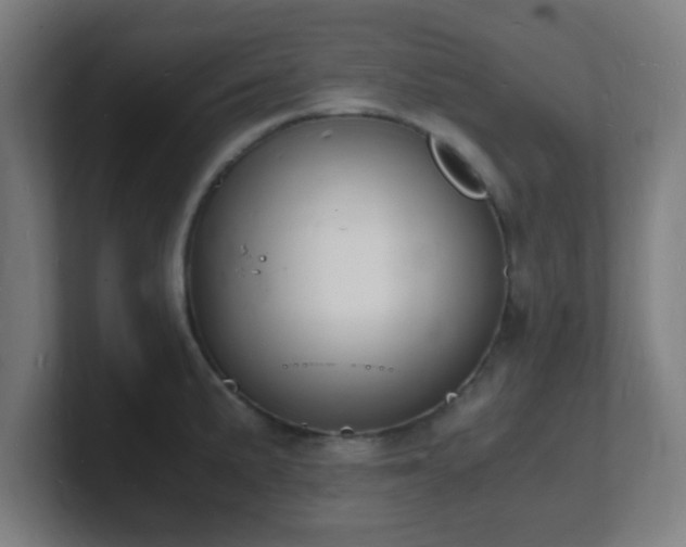 X0000101671191200807171329
