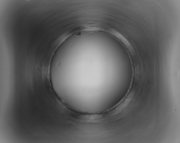 X0000101671193200807171329